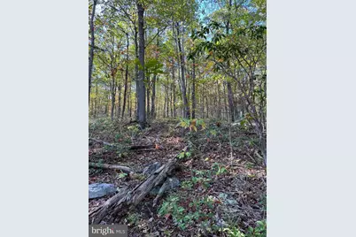 Lot 10,11,12-13 A Fox Trail, Winchester, VA 22602 - Photo 9