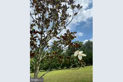 355 Fishel Road, Winchester, VA 22602 - Photo 71