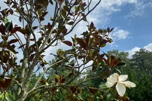 355 Fishel Rd, Winchester, VA 22602 - Photo 71