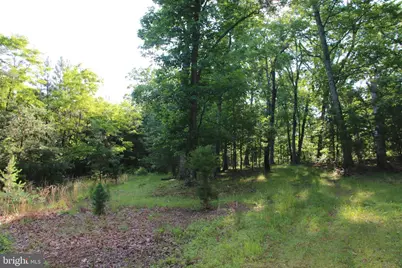 Easter Ridge Lot 7 Lane, Winchester, VA 22603 - Photo 5