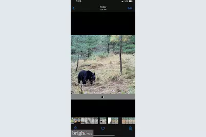 Easter Ridge Lot 7 Lane, Winchester, VA 22603 - Photo 29