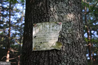 Easter Ridge Lot 7 Lane, Winchester, VA 22603 - Photo 9