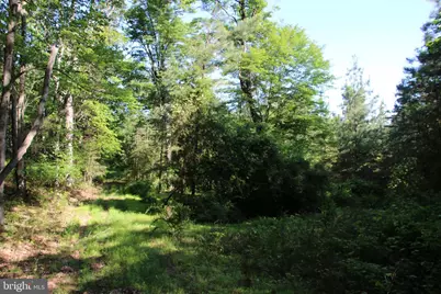 Easter Ridge Lot 7 Lane, Winchester, VA 22603 - Photo 15