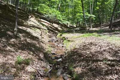 Files Chapel Drive, Winchester, VA 22603 - Photo 35