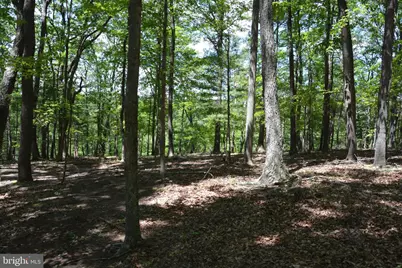 Files Chapel Drive, Winchester, VA 22603 - Photo 47