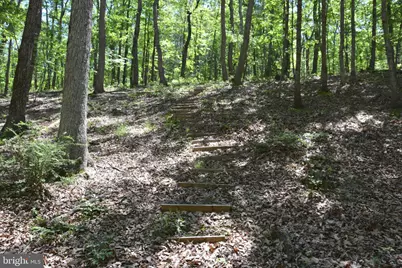 Files Chapel Drive, Winchester, VA 22603 - Photo 31