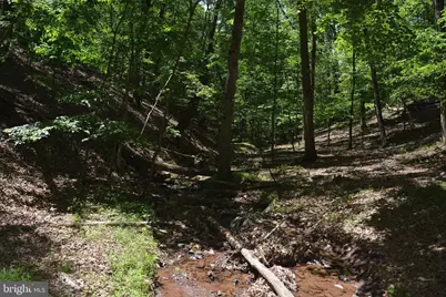 Files Chapel Drive, Winchester, VA 22603 - Photo 37