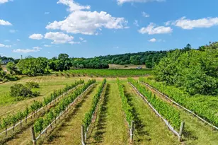 131 Chanterelle Ct, Stephens City, VA 22655 - Photo 71