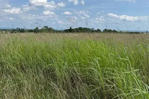 Lot 1 Glebe Dr, Clear Brook, VA 22624 - Photo 1