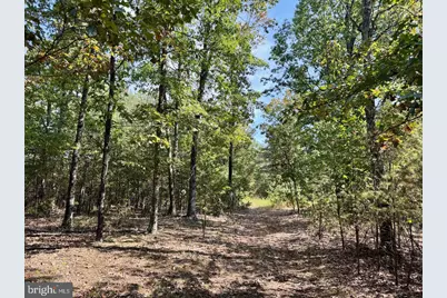 Easter Ridge Lane #LOT 2B, Cross Junction, VA 22625 - Photo 5
