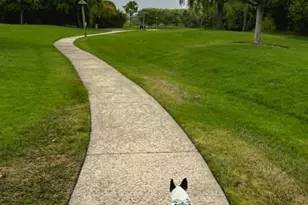 120 Magpie Ln, Winchester, VA 22603 - Photo 19