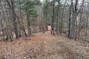 Lot 1B Double Church Rd, Stephens City, VA 22655 - Photo 29