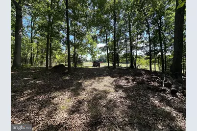 Lot 1B Double Church Road, Stephens City, VA 22655 - Photo 3