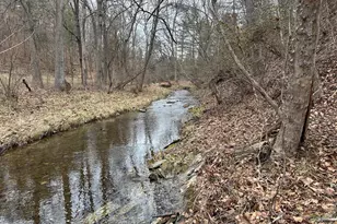 Lot 1B Double Church Rd, Stephens City, VA 22655 - Photo 31