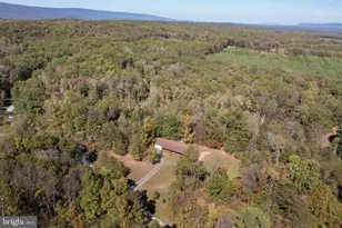 228 Sleepy Woods Rd, Cross Junction, VA 22625 - Photo 31