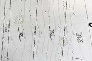 709 Ross St, Winchester, VA 22601 - Photo 11