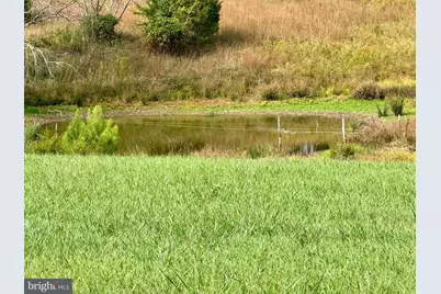 220 Snappy Lane, Winchester, VA 22602 - Photo 43