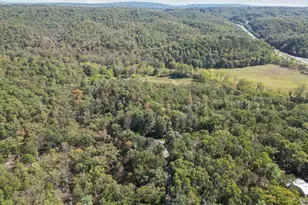 220 Chestnut Grove Rd, Winchester, VA 22603 - Photo 47