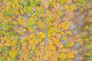 1631 Back Mountain Rd, Winchester, VA 22603 - Photo 85