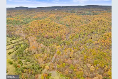 1631 Back Mountain Road, Winchester, VA 22603 - Photo 83