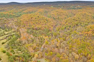 1631 Back Mountain Rd, Winchester, VA 22603 - Photo 83