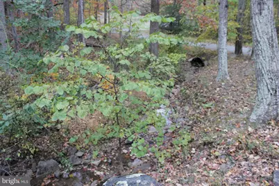 309 Raccoon Drive, Winchester, VA 22602 - Photo 33