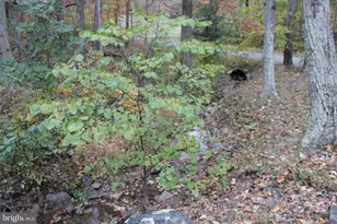 309 Raccoon Dr, Winchester, VA 22602 - Photo 33