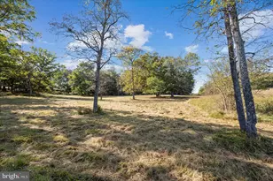 Tract 9B Slate Ln, Stephenson, VA 22656 - Photo 13