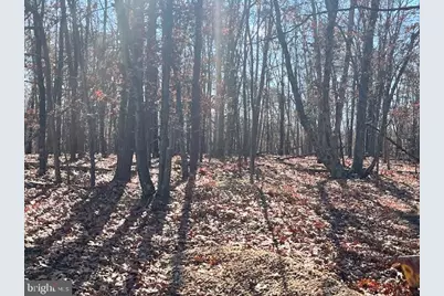 0 Three Oaks Lane, Gore, VA 22637 - Photo 3