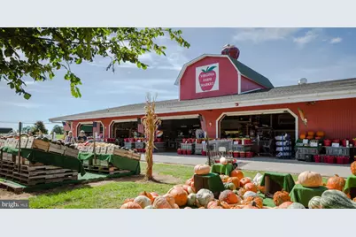 5205 Crooked Lane, Stephens City, VA 22655 - Photo 31