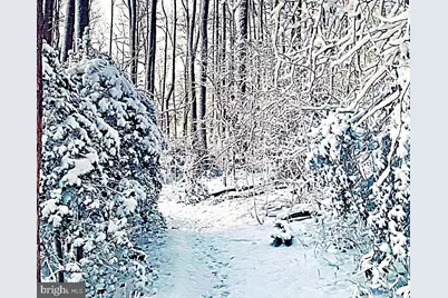 156 Munsee Circle, Winchester, VA 22602 - Photo 57