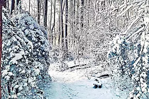 156 Munsee Cir, Winchester, VA 22602 - Photo 57