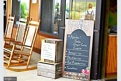 156 Munsee Circle, Winchester, VA 22602 - Photo 61