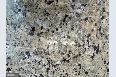 1619 Tomahawk Trail, Winchester, VA 22602 - Photo 9