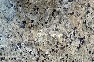 1619 Tomahawk Trail, Winchester, VA 22602 - Photo 9