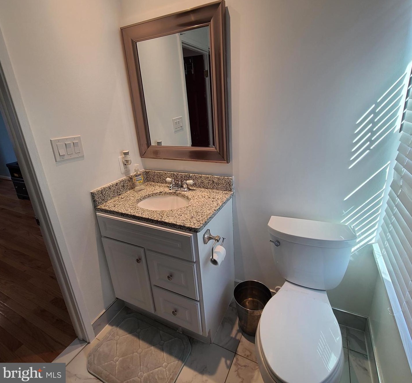 8726 Litwalton Ct, Vienna VA  22182-5012 exterior