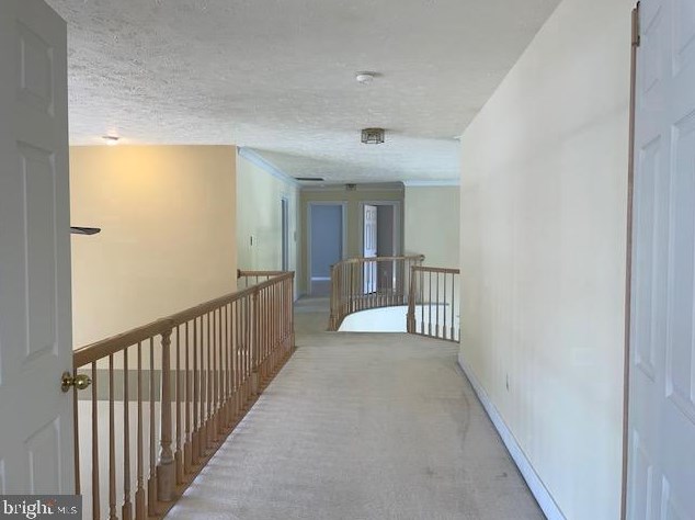 5903 Hampton Forest Way, Fairfax VA  22030-7256 exterior