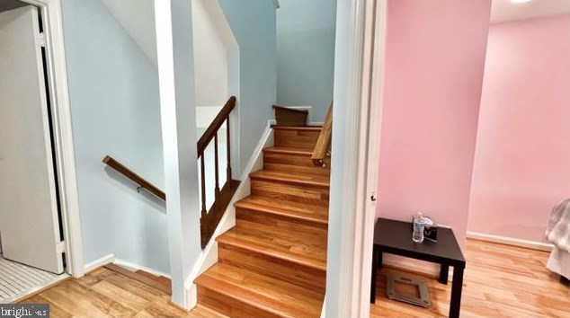 14337 Johnny Moore Ct, Centreville VA  20120-3212 exterior