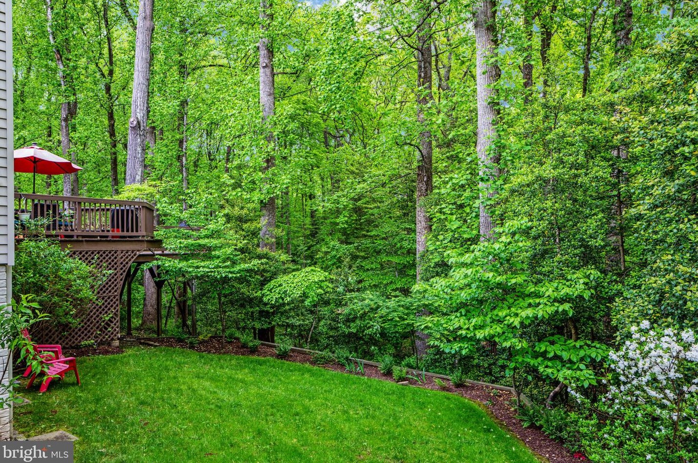 10300 Dunn Meadow Rd, Vienna VA  22182-1361 exterior