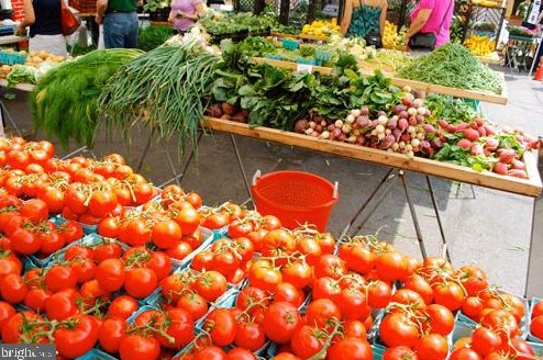 2923 Vlg Spg Ln, Vienna VA 22181-6112 exterior