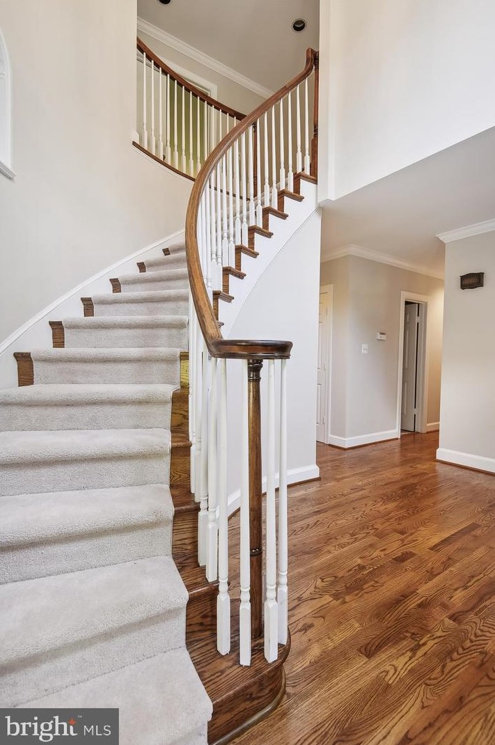 10125 Wendover Dr, Vienna VA  22181-2958 exterior