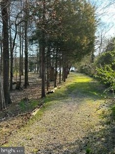 5117 Mount Vernon Memorial Hwy, Alexandria VA  22309-3319 exterior