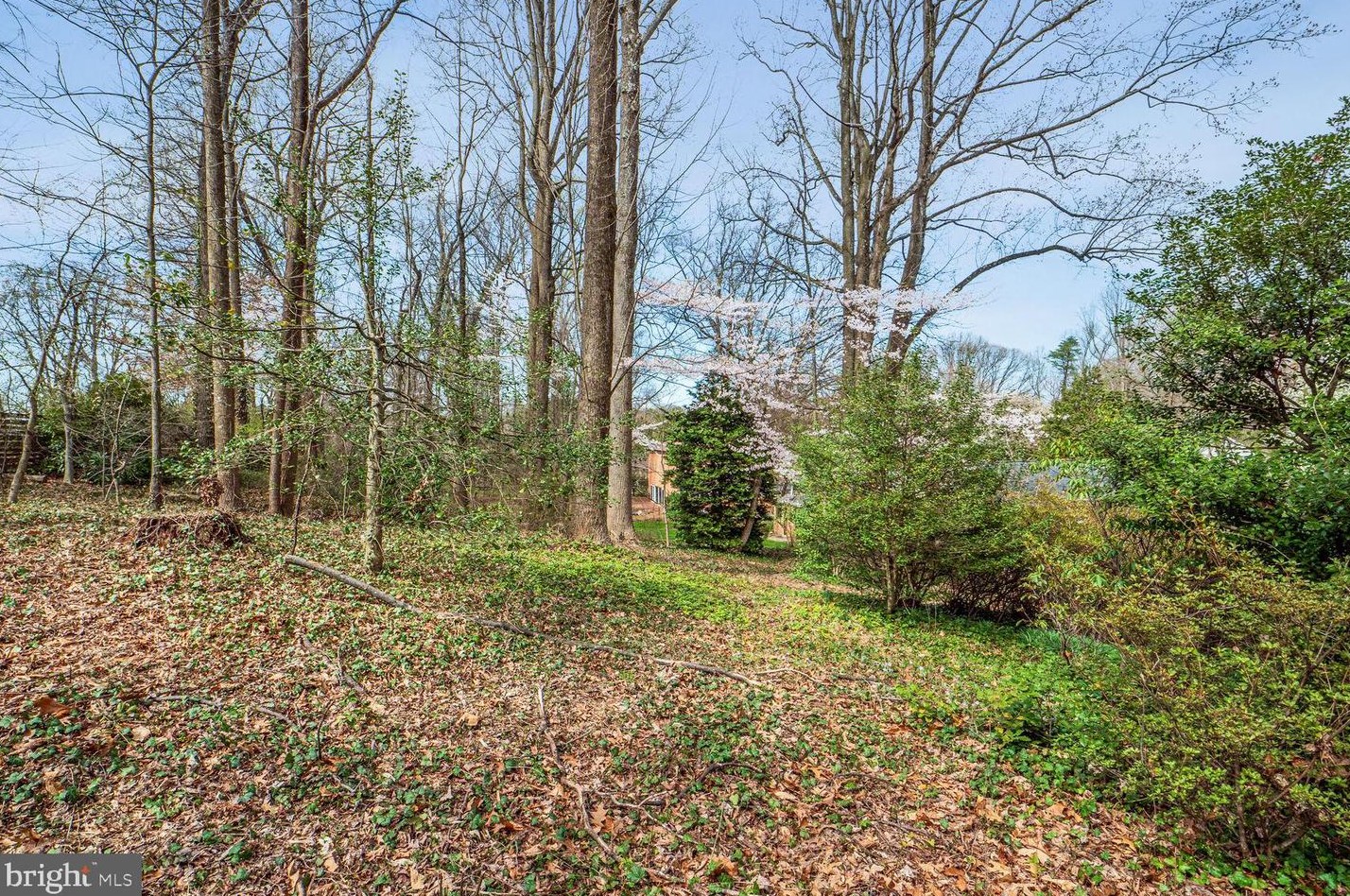 6431 Walters Woods Dr, Falls Church VA  22044-1424 exterior