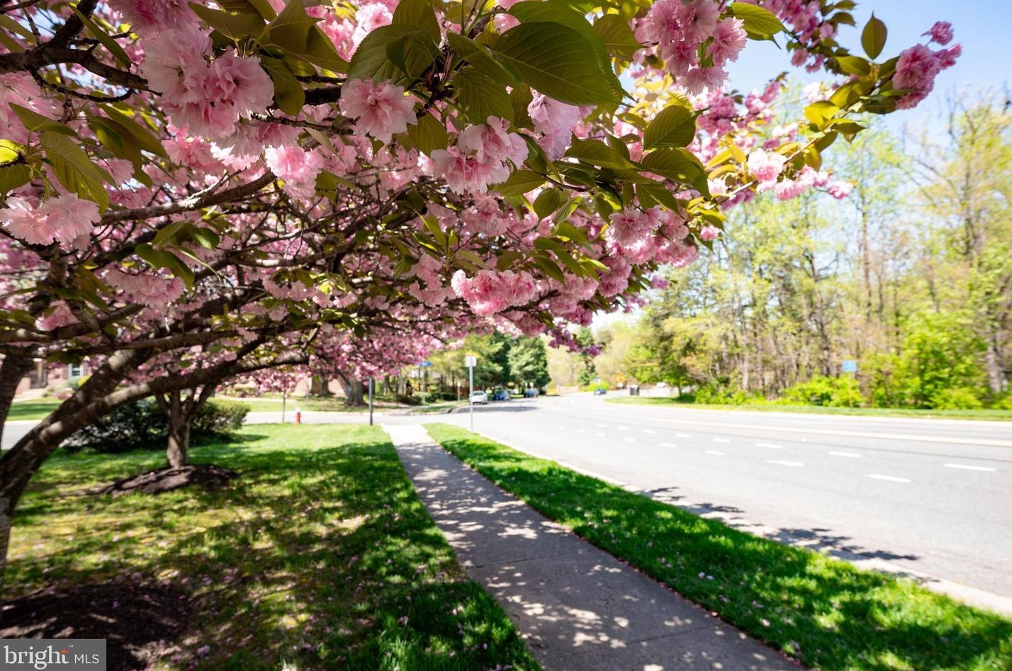 5905 Ambassador Way, Alexandria VA 22310-1748 exterior