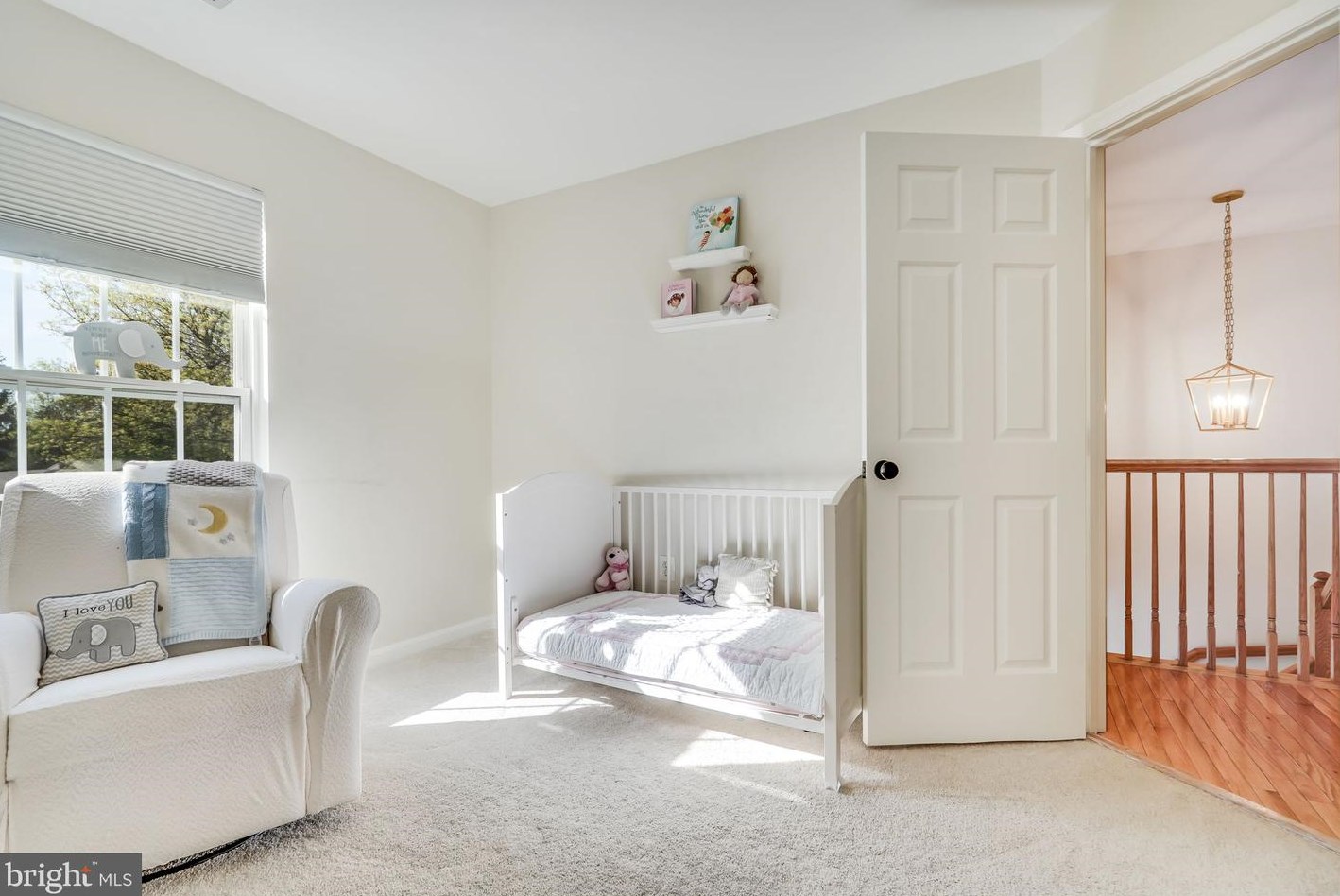 6376 Alderman Dr, Alexandria VA  22315-3731 exterior