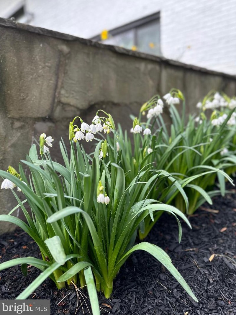 738 Ellsworth, Great Falls VA 22066-2929 exterior