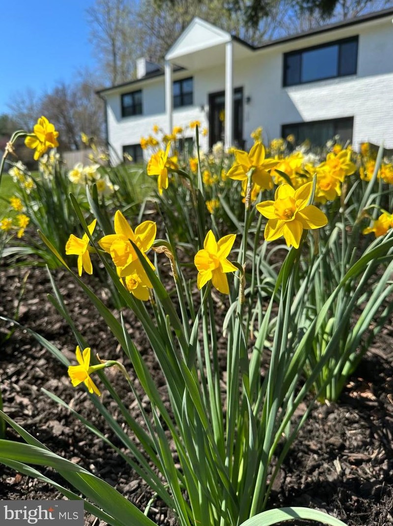 738 Ellsworth, Great Falls VA 22066-2929 exterior