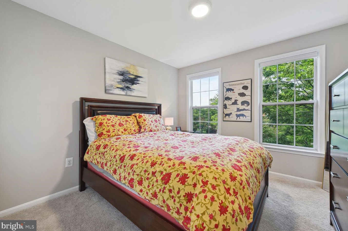 6206 Littlethorpe Ln, Alexandria VA 22315-3700 exterior