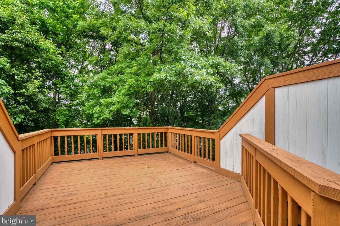 6113 Liverpool Ln, Alexandria VA 22315-4720 exterior