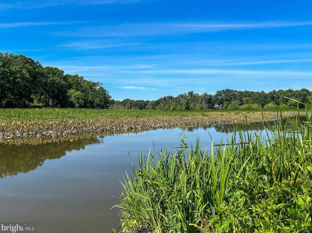 8210 Clifton Farm Ct, Alexandria VA  22306-3260 exterior